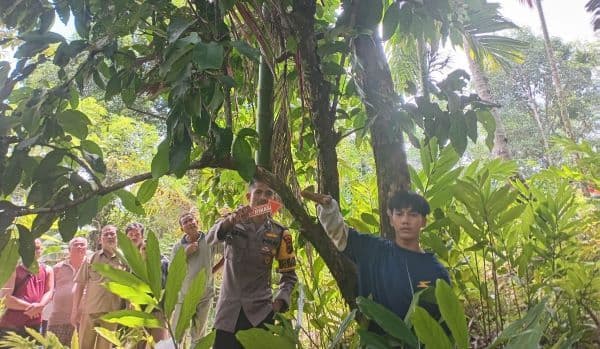 siswa_sma_di_nias_barat_ditemukan_tewas_tergantung_diduga_bunuh_diri