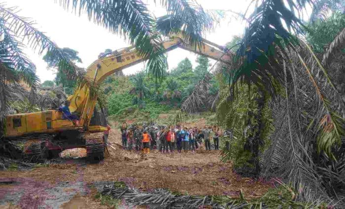 satgas_gpkh_bersihkan_10_hektar_sawit_ilegal_di_kawasan_tngl_langkat