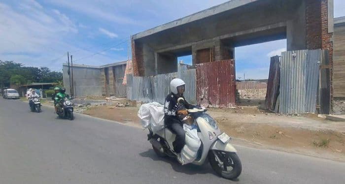 urus_izin_bangunan_di_medan_1_warga_pusing_sistem_online_tapi_proses_offline