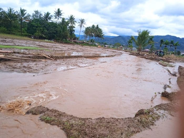 139_hektare_sawah_gagal_panen_di_padangsidimpuan_petani_merugi_rp14_miliar