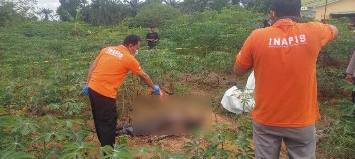 kakek_arbai_ditemukan_membusuk_di_kebun_ubi_milik_anggota_koramil_tiga_juhar