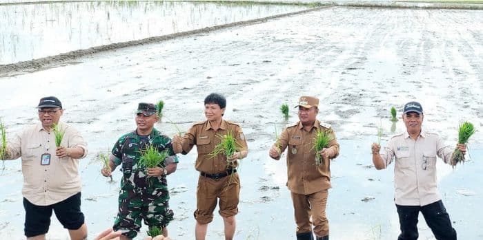 kementan_dorong_percepatan_tanam_tiga_kali_setahun_di_asahan_irigasi_jadi_kendala_utama