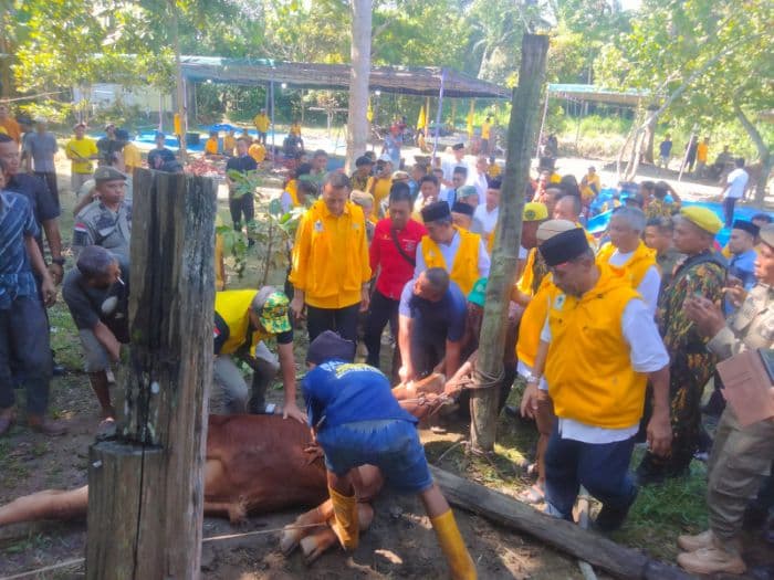 golkar_sumut_kurban_serentak_110_hewan_ijeck_kompak_hadapi_tahun_politik