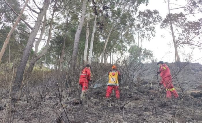 karhutla_kembali_terjadi_di_karo_30_hektare_hutan_terbakar_di_desa_tongging