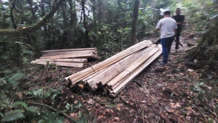 pembalakan_kayu_di_kawasan_hutan_lindung_lae_pondom_dairi_marak_pemerintah_didesak_bertindak