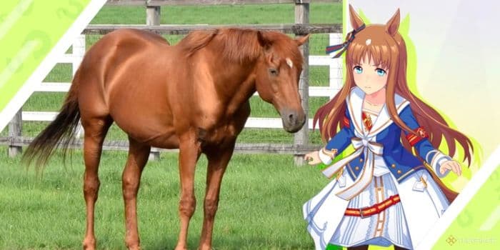 grass_wonder_kuda_pacu_legendaris_dan_inspirasi_umamusume_meninggal_di_usia_30_tahun