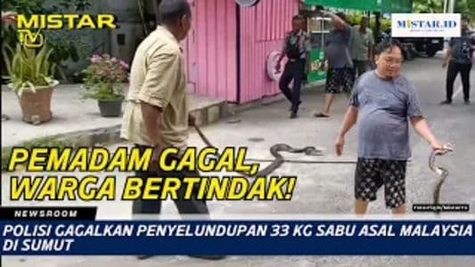 newsroom_ular_sanca_3_meter_hebohkan_warkop_jurnalis_di_medan