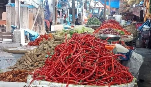 program_mbg_belum_berdampak_terhadap_harga_sayur_mayur_di_pasar_toba_