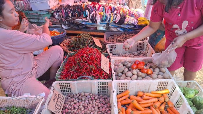 harga_komoditas_pokok_turun_tajam_sumut_dibayangi_deflasi