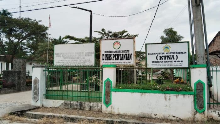 tenaga_pppk_dinas_pertanian_sergai_diduga_lakukan_pungli