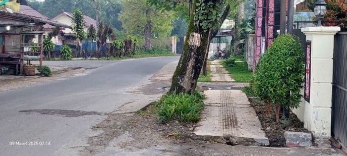 pohon_besar_di_bahu_jalan_sidikalang_mengancam_keselamatan_warga_yang_melintas