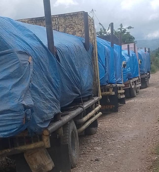 bumdes_di_dairi_terlibat_penjualan_kayu_kepala_desa_kami_buta_hukum