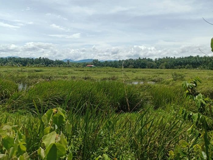 danau_di_desa_gunung_manaon_paluta_potensi_wisata_alam_menjanjikan