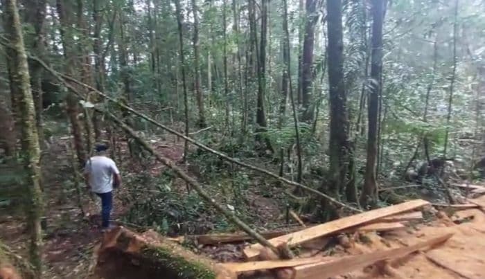 hutan_lindung_lae_pondom_kritis_kementerian_diminta_copot_kepala_upt_kph_xv