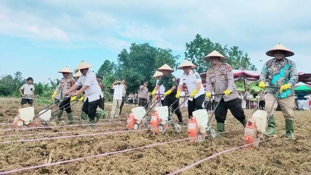 pemkab_simalungun_dan_polri_tanam_jagung_dukung_swasembada_pangan_nasional