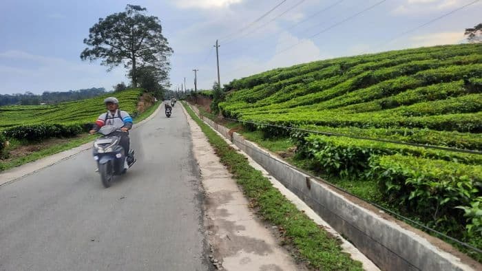 warga_cemas_dampak_lingkungan_penanaman_ulang_sawit_di_kebun_bah_butong_