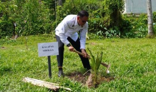 dukung_ketahanan_pangan_dan_lingkungan_lapas_sibolga_tanam_50_bibit_kelapa