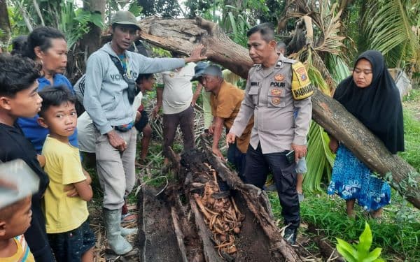 warga_sergai_temukan_kerangka_manusia_di_dalam_batang_pohon_aren_
