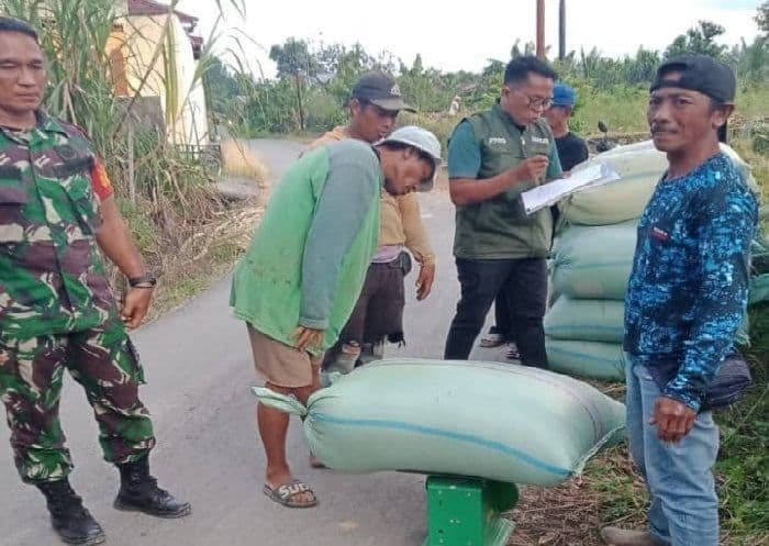 bulog_siantar_serap_26_juta_kg_gabah_petani_hingga_november_2025