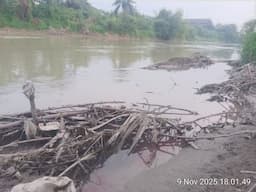 debit_sungai_padang_surut_tunggul_kayu_bermunculan_di_tebing_tinggi