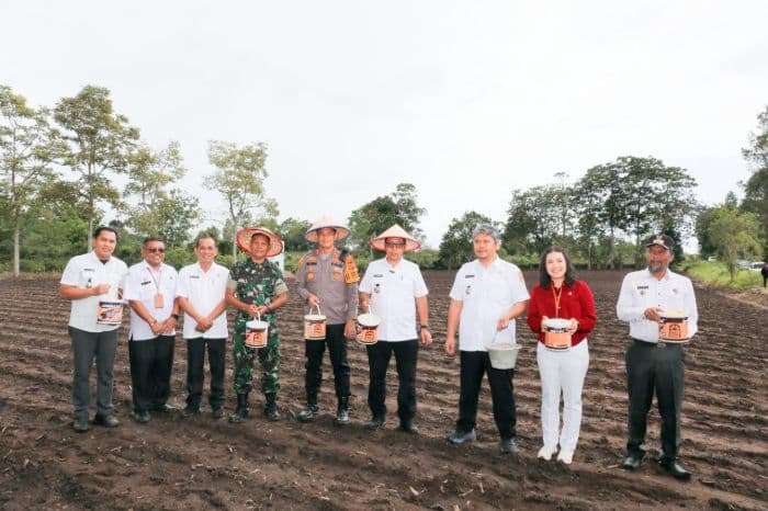 bupati_taput_tanam_jagung_serentak_di_15_kecamatan