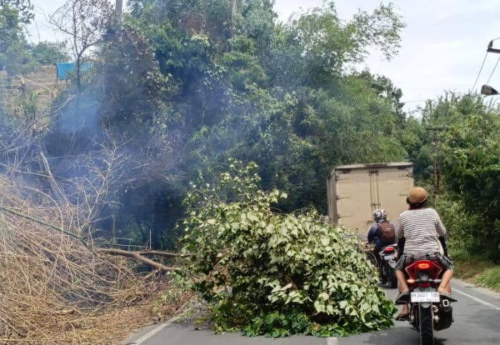 angin_kencang_tumbangkan_pohon_ganggu_akses_jalan_dan_aliran_listrik_di_simalungun
