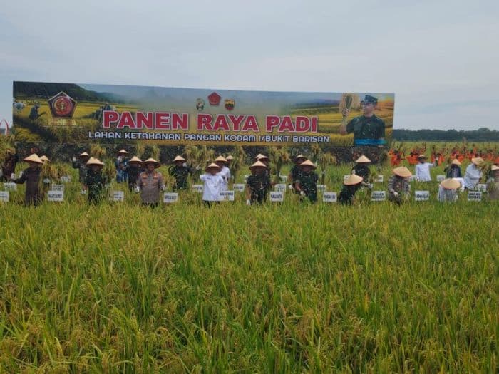 panglima_tni_panen_raya_ketahanan_pangan_di_lahan_kodam_ibb
