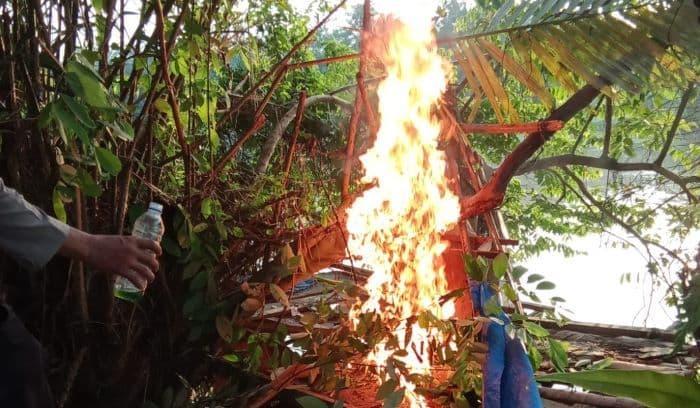 polsek_tanjung_pura_gerebek_dan_bakar_barak_narkoba_di_desa_pekubuan