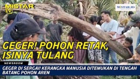 newsroom_geger_di_sergai_kerangka_manusia_ditemukan_di_tengah_batang_pohon_aren