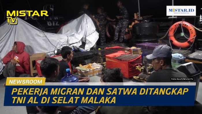 newsroom_pekerja_migran_dan_satwa_ditangkap_tni_al_di_selat_malaka