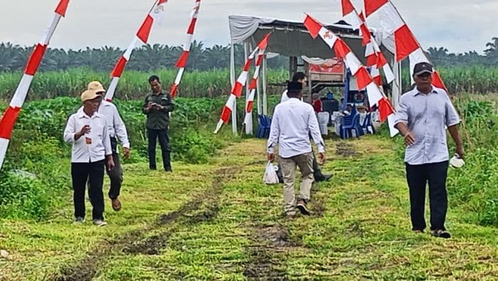 wakil_menteri_sosial_batal_ke_hamparan_perak_meski_konsumsi_disiapkan
