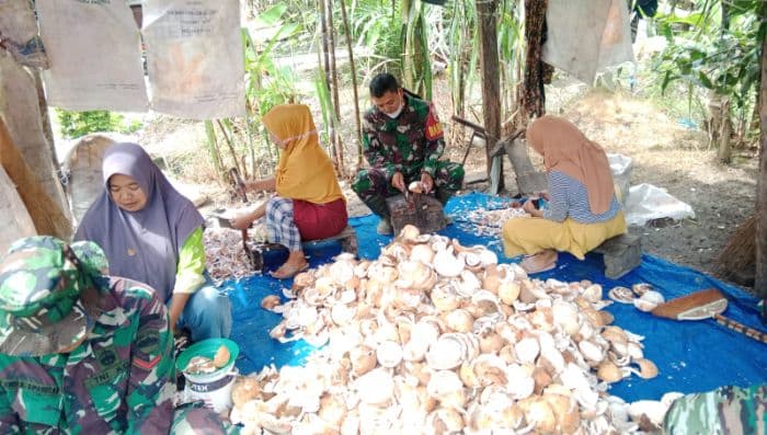 warga_desa_silo_bonto_asahan_gantungkan_hidup_dari_produksi_kopra
