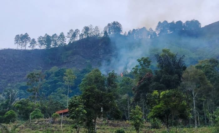 karhutla_marak_di_simalungun_kph_ii_siantar_imbau_warga_tak_bakar_lahan_