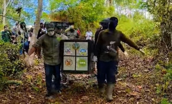lestarikan_primata_langka_bksda_sumut_lepasliarkan_tiga_siamang_ke_hutan_tngl