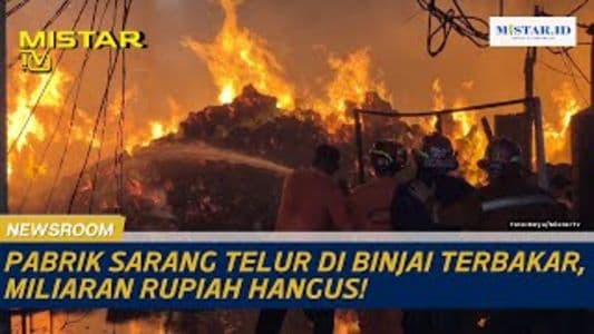 newsroom_pabrik_sarang_telur_di_binjai_terbakar_miliaran_rupiah_hangus