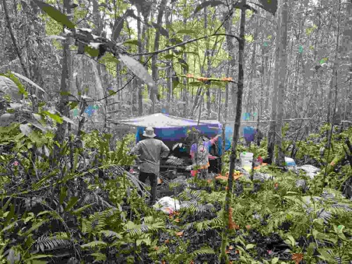 pemkab_dairi_kembali_usulkan_pelepasan_kawasan_hutan_dalam_program_tora