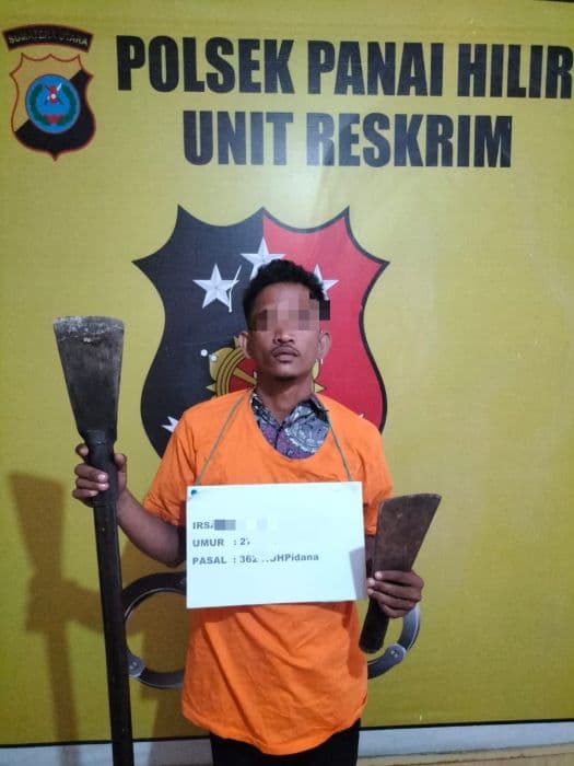 ulong_ditangkap_personel_polsek_panai_hilir_usai_curi_alat_panen_sawit