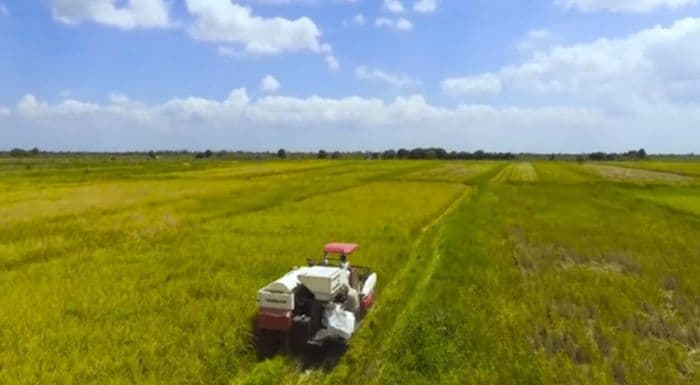 cetak_sawah_1200_hektar_asahan_siap_jadi_lumbung_pangan_nasional