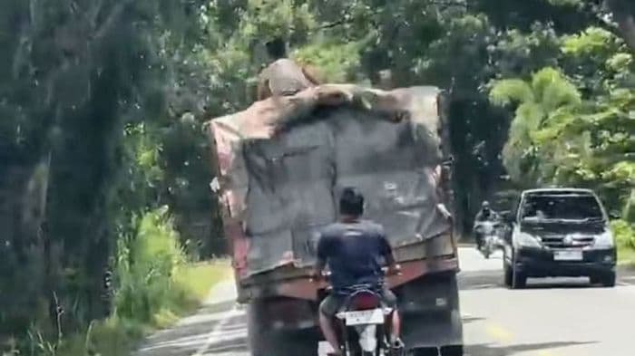 aksi_bajing_loncat_di_langkat_terekam_kamera