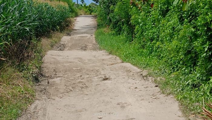pemkab_dairi_diminta_serius_perbaiki_jalan_rusak_parah_di_daerah_penghasil_ribuan_ton_jagung_dan_coklat