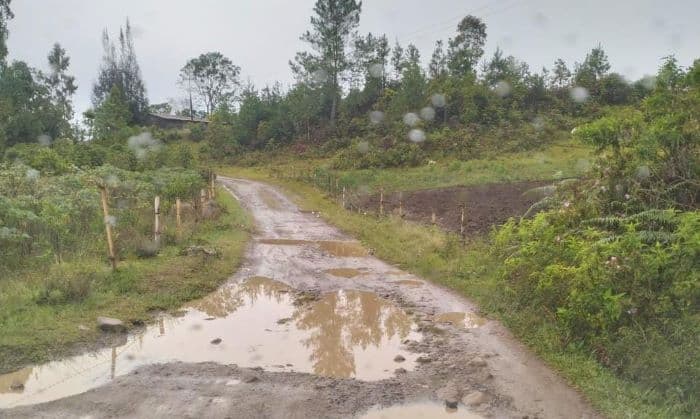 warga_desa_lintong_nihuta_keluhkan_jalan_rusak_20_tahun_tak_diperbaiki_