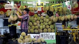 asosiasi_desak_pemerintah_malaysia_tetapkan_durian_sebagai_buah_nasional