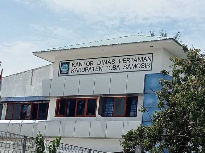 dinas_pertanian_toba_targetkan_penanaman_302_hektare_bawang_merah