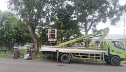 dlh_binjai_gerak_cepat_pangkas_pohon_rindang_di_jalan_olahraga