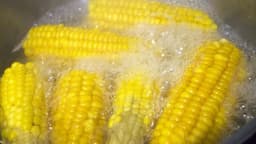 enam_manfaat_tersembunyi_air_rebusan_jagung_bikin_tubuh_makin_sehat_