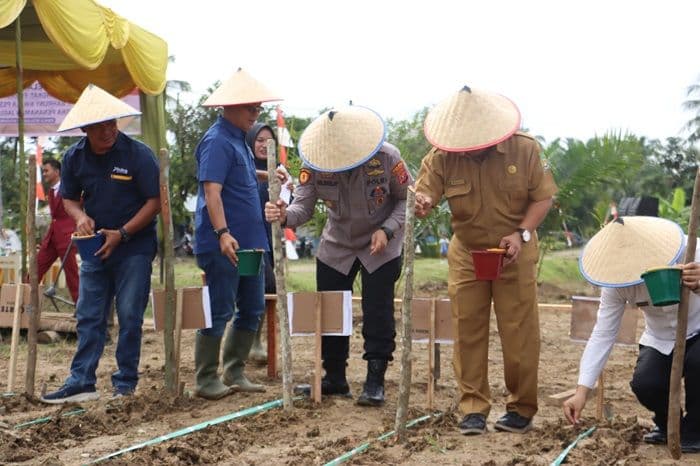 polres_langkat_tanam_2_hektar_jagung_untuk_dukung_ketahanan_pangan_nasional