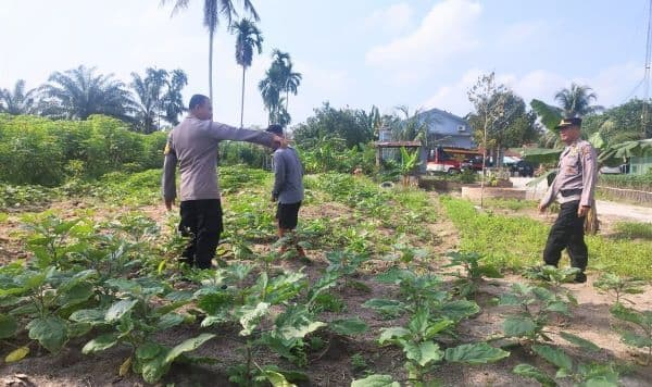 dukung_ketahanan_pangan_polres_batu_bara_manfaatkan_lahan_pekarangan_
