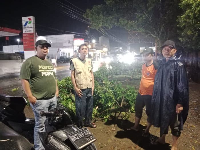 dampak_hujan_dan_angin_di_paluta_pohon_tumbang_menimpa_mobil