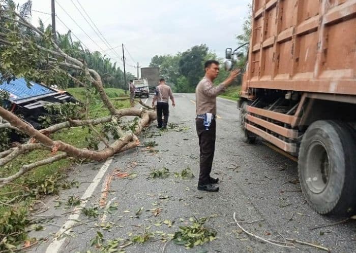 sopir_mengantuk_truk_kontainer_tabrak_pohon_hingga_tercabut_
