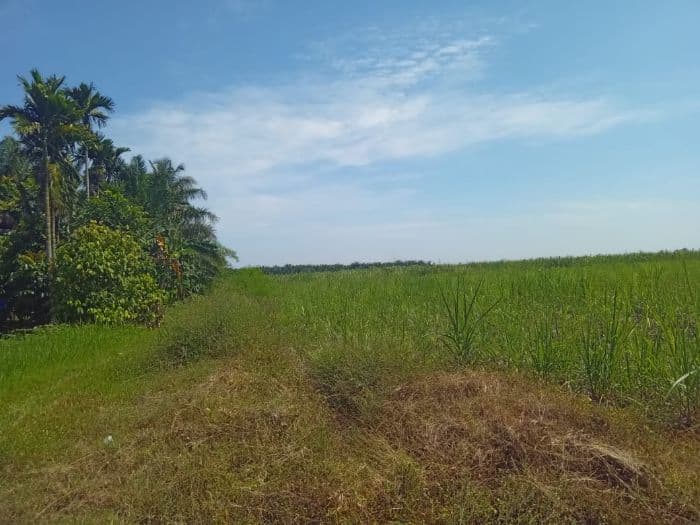 lahan_eks_hgu_25_hektar_dimohon_warga_untuk_ketahanan_pangan